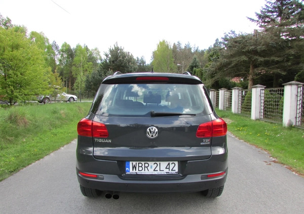 Volkswagen Tiguan cena 45900 przebieg: 316000, rok produkcji 2013 z Końskie małe 121